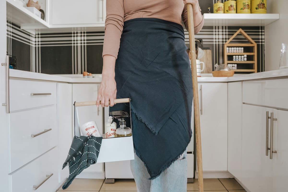 Regular House Cleaning